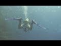 Sharm El Sheikh diving