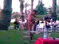 il fachiro si esalta con le spade al villaggio valtur el kebir...