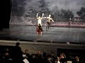 Russian Ballet - Tchaikovsky Don Quixote