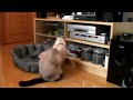 Fugu vs DVD Player