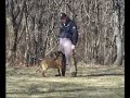 STITCH RING TRAINING