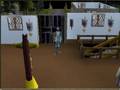 Runescape-summoning-