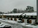 Snow Falling On Finchampstead Snow Falling On Finchampstead