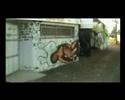 The TXL Video_Graffiti and Toyz Video_koulur-quick pau- 2 ca