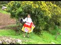 surcubambina   flor de azucena