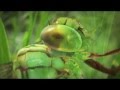Agape Satori - Mathematics is The Language of Nature