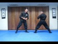 FREE Nintaijutsu for youtube #017