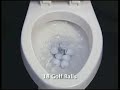 American Standard 2018.214.020 Champion 4 Elongated Toilet, White