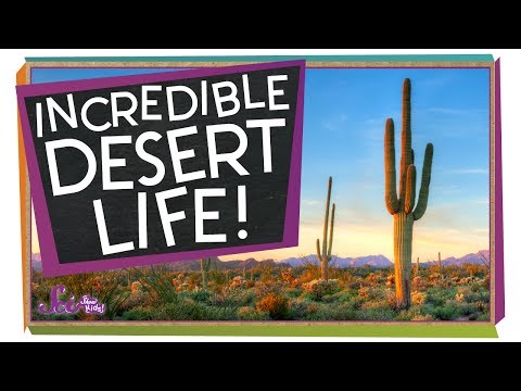 Unit 18-Amazing Ways to Live in the Desert Thumbnail
