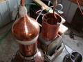 The Distillation of Ledum Groenlandicum Hydrosol