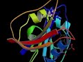 How does Entropy Affect Protein Folding?