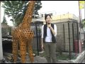 [画像]