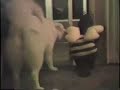 cute baby / child with cute Samoyed dog
