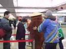 がんばれ!ポン山先生!