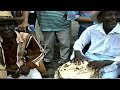 Lumbalú. Investigación. Conjunto