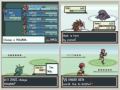Let-s-race-pokemon-L