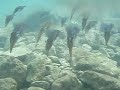See video