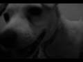Jeff's Horror Flick