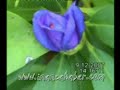 ?nanca K�y� Kaleden Manzara (www.inancahaber.com)