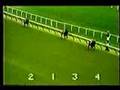 YouTube - Ruffian - 1974 Astoria Stakes