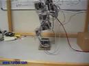 Runbot\ Runbot\