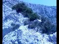 Nemoverdoz - le 