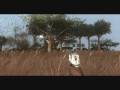 videos de TehLux - FarCry2 Editor Wild Tree Explosion