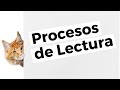 El Proceso De Lectura