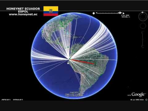 Imagen de previsualización de YouTube