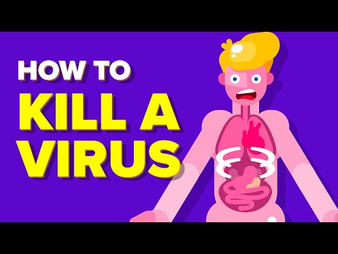 Most Effective Way To Kill A Virus