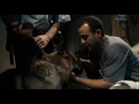كليب نور طول عمرنا من فيلم الديلر جوده عاليه