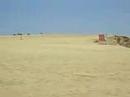 Paracas
