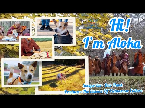 A Song For Walk For Peace - Hi! I’m Aloka