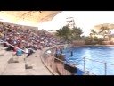 South African Tourism | Ushaka Marine World | KwaZulu Natal