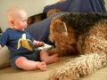cute, Ptolemy's tasty tickly toes - aged 7.5 months
