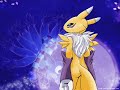 A Rika & Renamon and Kari & Gatomon Tribute