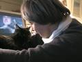 videos de Halloween Black Cat's Super Note
