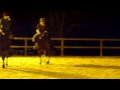 la sabotiere 211109