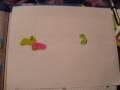 Signal Transduction - AP Bio
