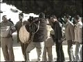حفلة تخرج نور الحمزه من الرمثا من جامعة التكنو 2