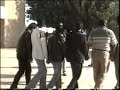 حفلة تخرج نور الحمزه من الرمثا من جامعة التكنو 2