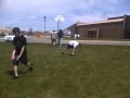 2010-05-21 | the umpantsable ~> mason canot be pantsed no mater what ... mason bailey ... ()