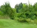Keith golfing at Nottawasaga
