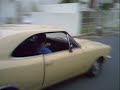 opala opala