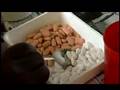 Stop NTDs Campaign Video