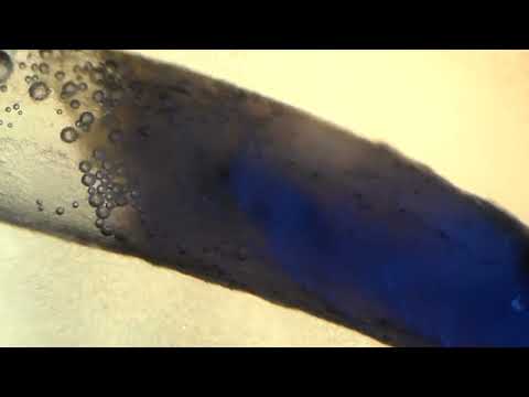 how to dissolve tissue