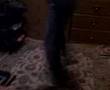 jumpstyle #3