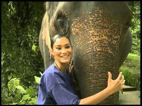 Top Billing explores magical Thailand 