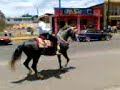 Caballo Bailador 2008