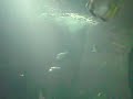 Virginia Beach Aquarium